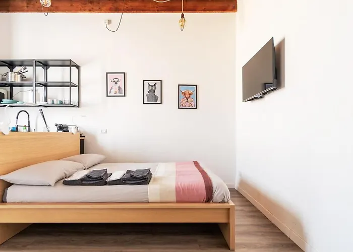 Cozy Flat Cenisio